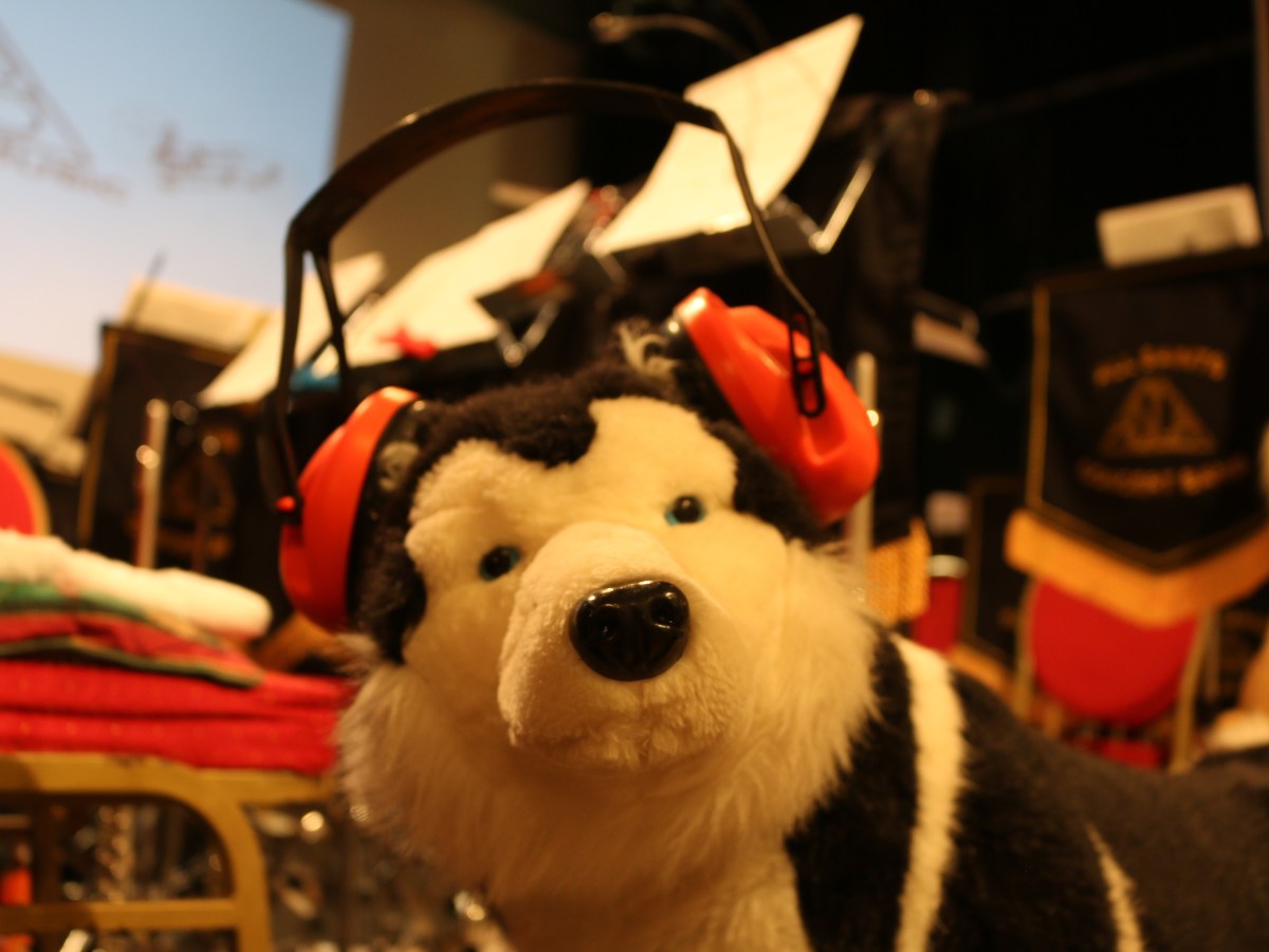 Welcome to the&nbsp;Jungle!